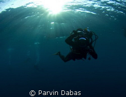 dive buddy taking a picture of me taking a picture of him... by Parvin Dabas 